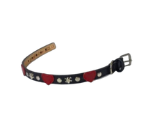 Load image into Gallery viewer, IZZY Heart Dog Collar w-Studs &amp; Skull Heads