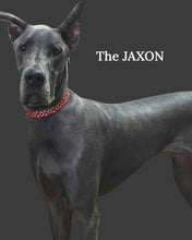 Load image into Gallery viewer, Jaxon Leather Dog Collar with Nickel Eyelet &amp; Stud Cluster