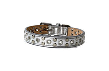 Load image into Gallery viewer, Jaxon Leather Dog Collar with Nickel Eyelet &amp; Stud Cluster