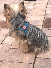 Load image into Gallery viewer, Penelope Flower Leather  Dog Step-In Harness with Austrian Crystal on Flower Product vendor