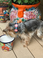 Load image into Gallery viewer, Penelope Flower Leather Dog Collar with Crystals on Flower &amp; Collar Product vendor