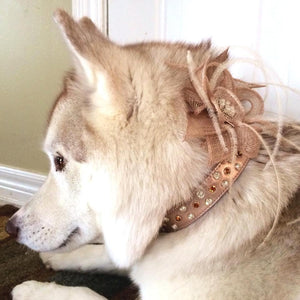 Stella Jewel 2 Tone Cluster Leather Dog Collar - Around The Collar NY