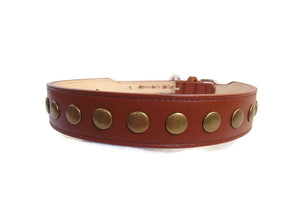 Kobe Wider Leather Dog Collar with Antique Brass Studs