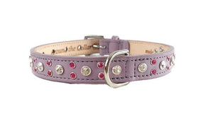 Leah Leather Dog Collar Cluster with Small Crystals on Edge. Medium down center - Around The Collar NY