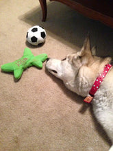 Load image into Gallery viewer, Stella Jewel 2 Tone Cluster Leather Dog Collar - Around The Collar NY