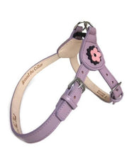 Load image into Gallery viewer, Penelope Flower Leather  Dog Step-In Harness with Swarovski Crystal on Flower - Around The Collar NY