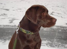 Load image into Gallery viewer, Brie Camouflage Dog Collar w/Leather and Single Row Swarovski Crystals - Around The Collar NY