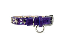 Load image into Gallery viewer, Lincoln Leather Dog Collar with Nickel Stars and Swarovski Jewel Cluster - Around The Collar NY