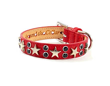 Load image into Gallery viewer, Lincoln Leather Dog Collar with Nickel Stars and Jewel Cluster - Around The Collar NY