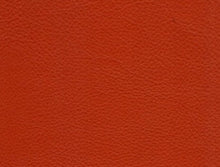 Load image into Gallery viewer, Leather Colors