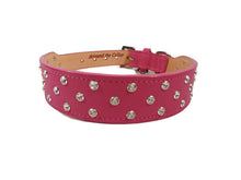 Load image into Gallery viewer, Callie Crystal Cluster Wider Leather Dog Collar - Around The Collar NY