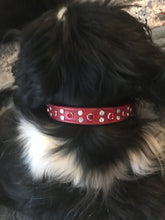 Load image into Gallery viewer, Stella Jewel Cluster Christmas Dog Collar Product vendor