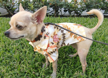 Load image into Gallery viewer, Malka Crystal Leather Dog Collar Product vendor
