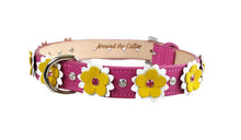 Load image into Gallery viewer, Penelope Flower Collar with Swarovski Crystals on Flower &amp; Collar - Around The Collar NY