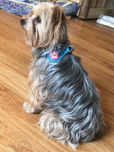 Load image into Gallery viewer, Penelope Flower Leather  Dog Step-In Harness with Austrian Crystal on Flower Product vendor