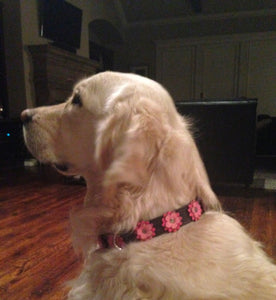 Penelope Flower Leather Dog Collar with Crystal on Flower