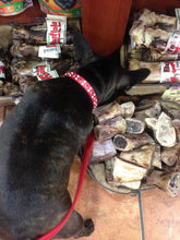Load image into Gallery viewer, Stella Jewel Cluster Christmas Dog Collar Product vendor