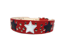 Load image into Gallery viewer, Breck Wider Leather Dog Collar with Star and Nickel Stud Cluster - Around The Collar NY