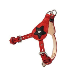 Breck Leather Star Step-In Harness with Swarovski Crystal - Around The Collar NY