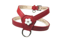 Load image into Gallery viewer, Ellie Flower Leather K Harness - Around The Collar NY