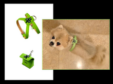 Load image into Gallery viewer, Shamrock Wider Leather Dog Collar Stripe Center