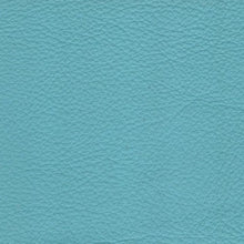 Load image into Gallery viewer, Sky Blue Leather