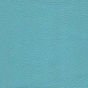 Sky Blue Leather
