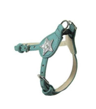 Cargar imagen en el visor de la galería, Breck Leather Star Step-In Harness with Swarovski Crystal - Around The Collar NY