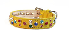 Load image into Gallery viewer, Stacy Rainbow Multi Cluster Jeweled Leather Dog Collar - Around The Collar NY