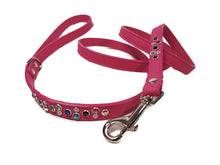 Load image into Gallery viewer, Stacy Rainbow Multi Cluster Jeweled  Leather Dog Leash Product vendor