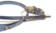 Load image into Gallery viewer, Stacy Rainbow Multi Cluster Jeweled  Leather Dog Leash Product vendor