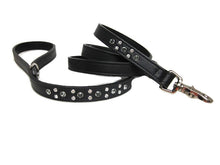 Load image into Gallery viewer, Stella Leather Leash 2 Tone Austrian Crystals