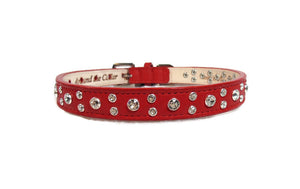 Stella Leather Cluster Dog Collar with all Clear Crystals