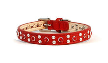 Load image into Gallery viewer, Stella Jewel 2 Tone Cluster Leather Dog Collar - Around The Collar NY