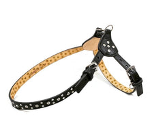 Load image into Gallery viewer, Black Stella leather dog stepin harness by Around the Collar