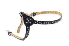 Load image into Gallery viewer, Stella black leather bling cluster stepin dog harness by Around the Collar