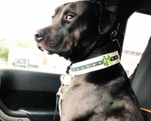 Load image into Gallery viewer, Thomas in shamrock white &amp; green leather dog collar