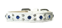 Load image into Gallery viewer, Stella Jewel 2 Tone Cluster Leather Dog Collar - Around The Collar NY