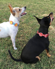 Load image into Gallery viewer, Penelope Flower Leather Dog Collar with Crystals on Flower &amp; Collar Product vendor