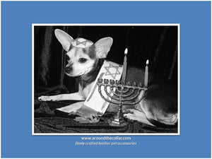 Shanti Leather Hanukkah Dog Collar w-Single Row Austrian Crystals Close Together
