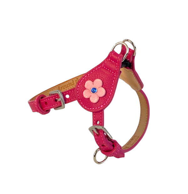 Ellie flower leather dog step in harness
