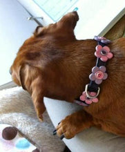 Load image into Gallery viewer, Riley Flower Leather Collar with Swarovski Crystals - Around The Collar NY