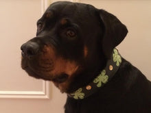 Load image into Gallery viewer, Shamrock Wide Leather Dog Collar Product vendor