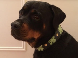 Shamrock Wide Leather Dog Collar Product vendor